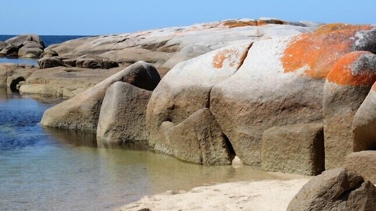 Photo of Others in Binalong Bay