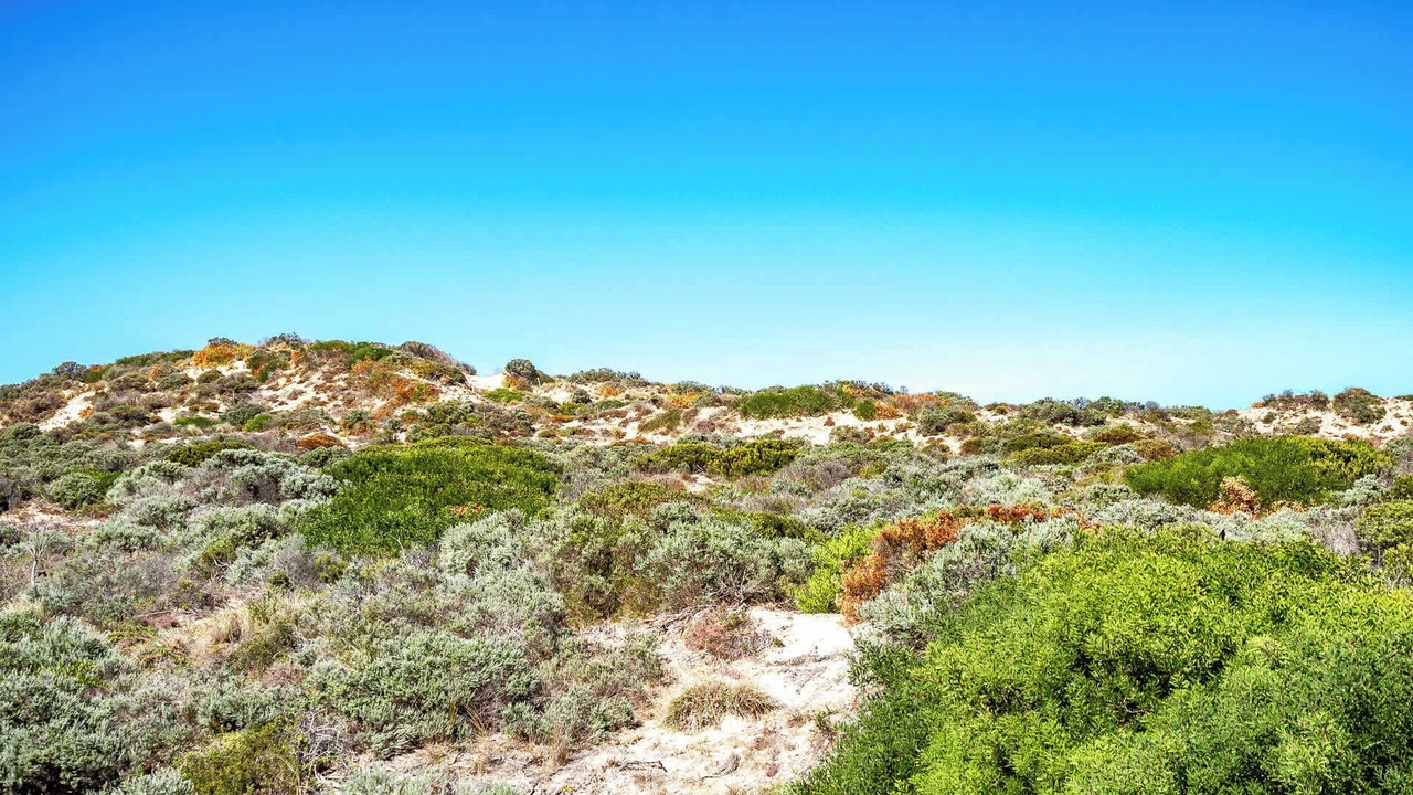 Photo of Others in Goolwa Beach