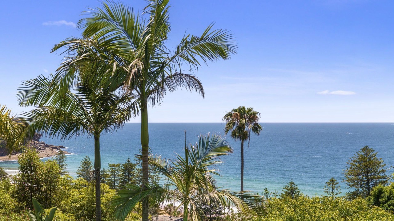Photo of Others in Whale Beach