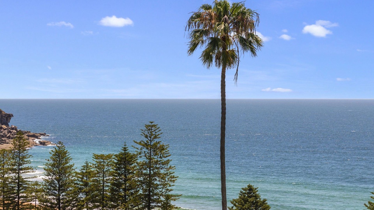 Photo of Others in Whale Beach