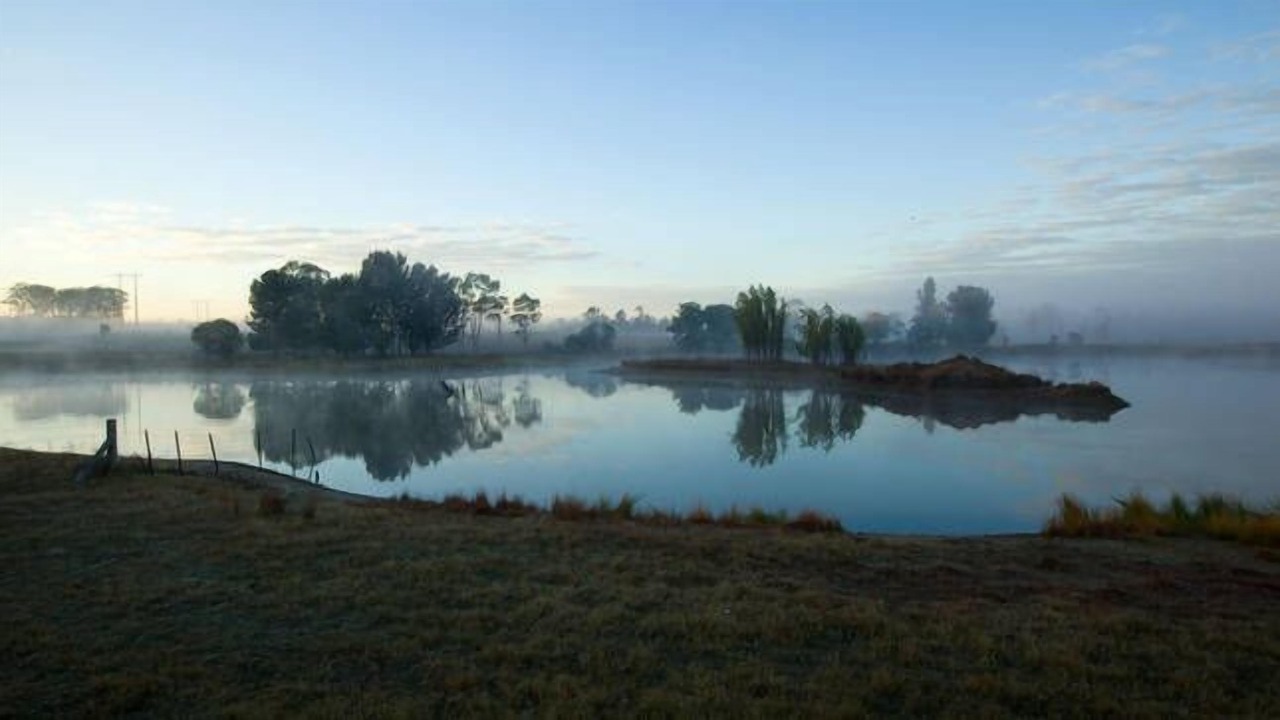 Photo of Outdoor in Lovedale