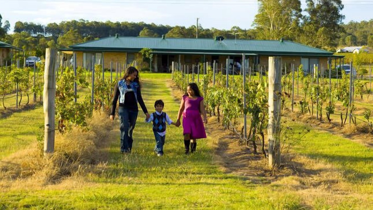 Photo of Outdoor in Lovedale