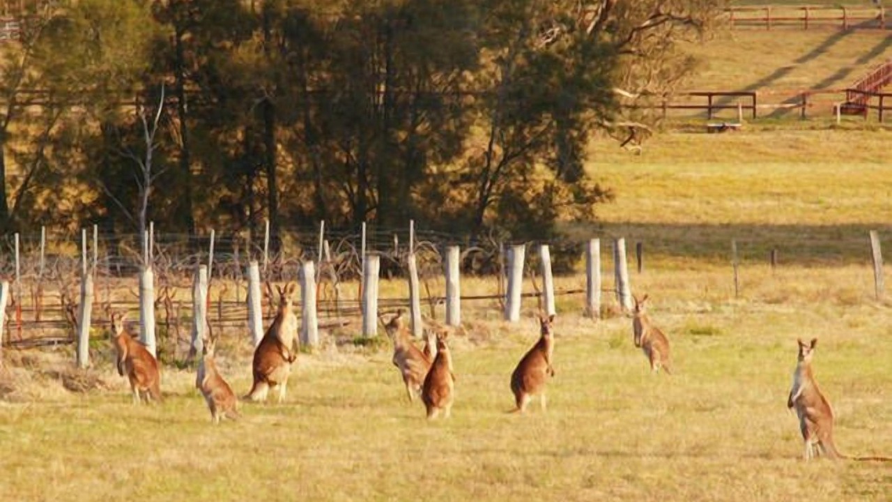 Photo of Others in Lovedale
