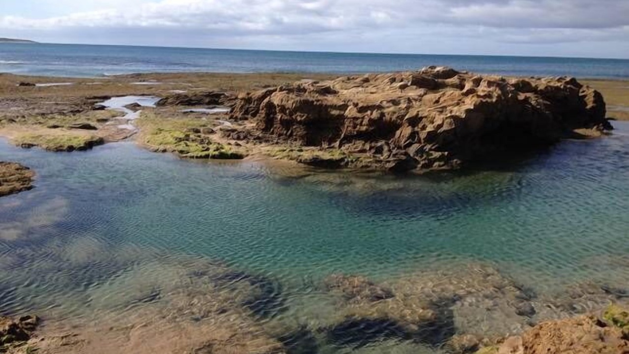 Photo of Others in Aireys Inlet