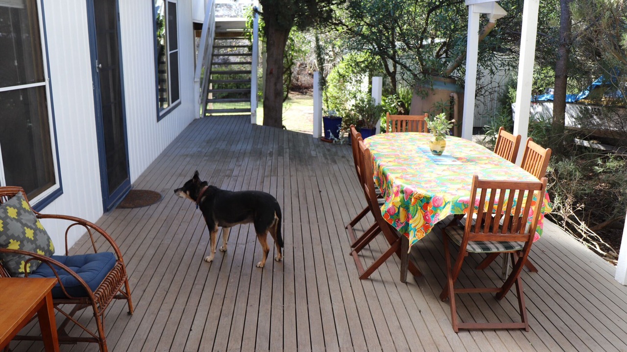 Photo of Outdoor in Ventnor