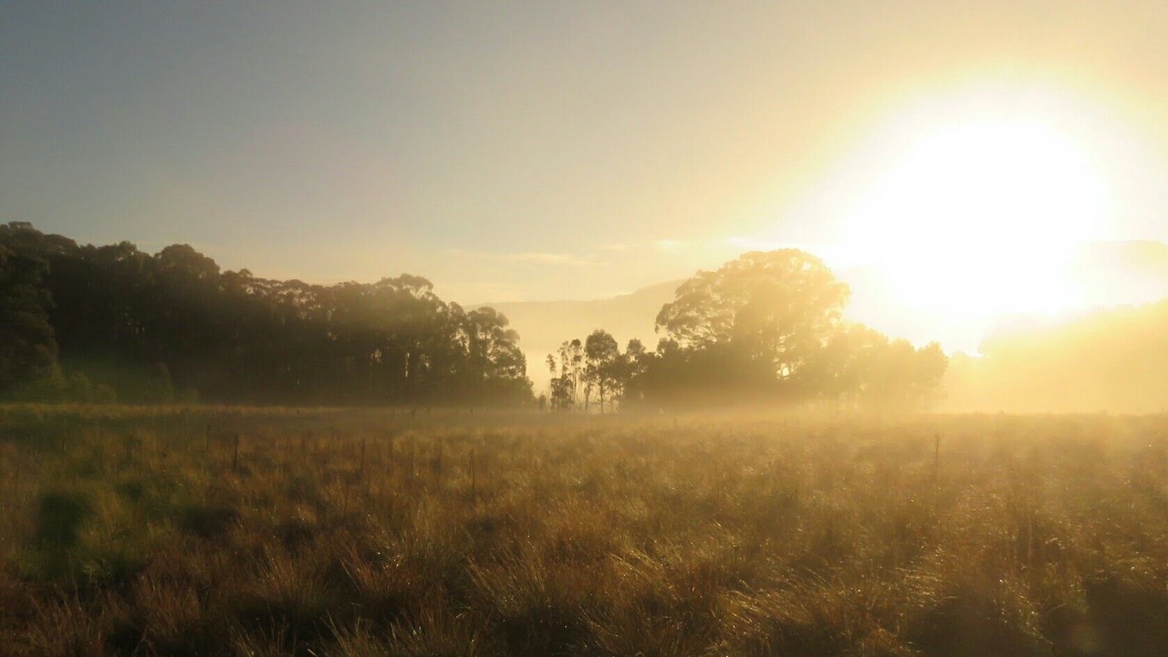 Photo of Outdoor in Kanimbla