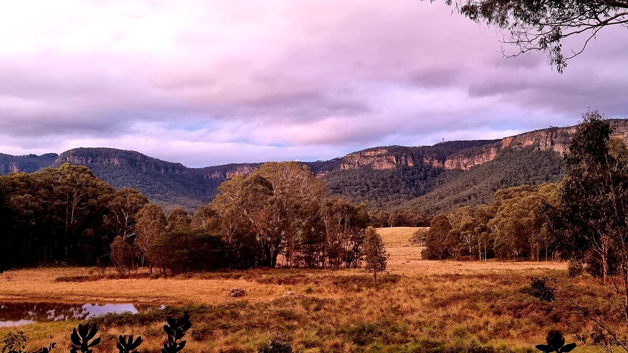 Photo of Outdoor in Kanimbla