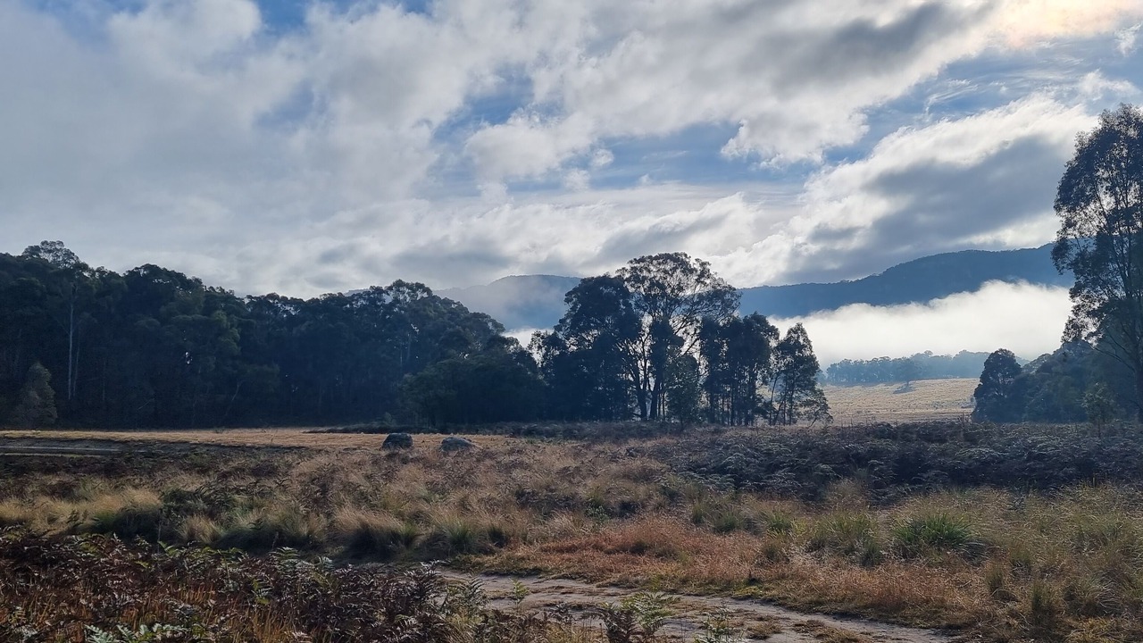 Photo of Outdoor in Kanimbla