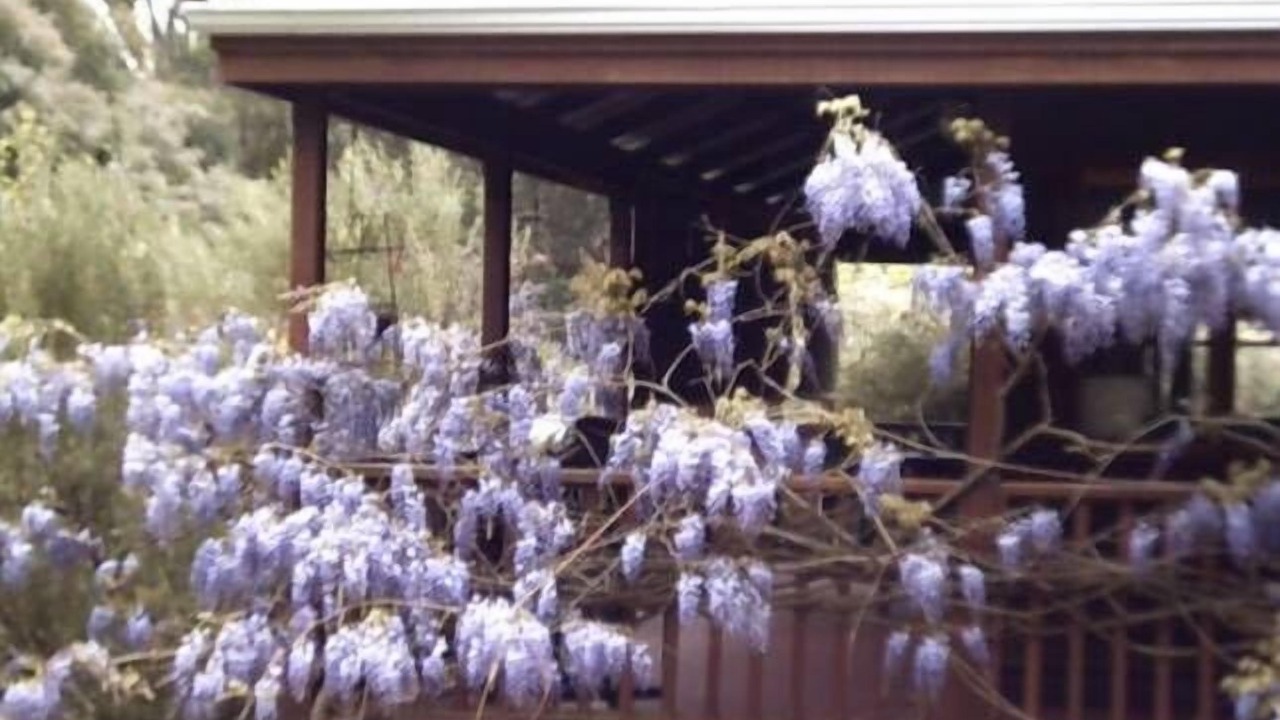 Photo of Others in Nannup
