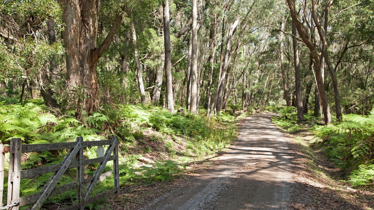 Photo of Others in Robertson
