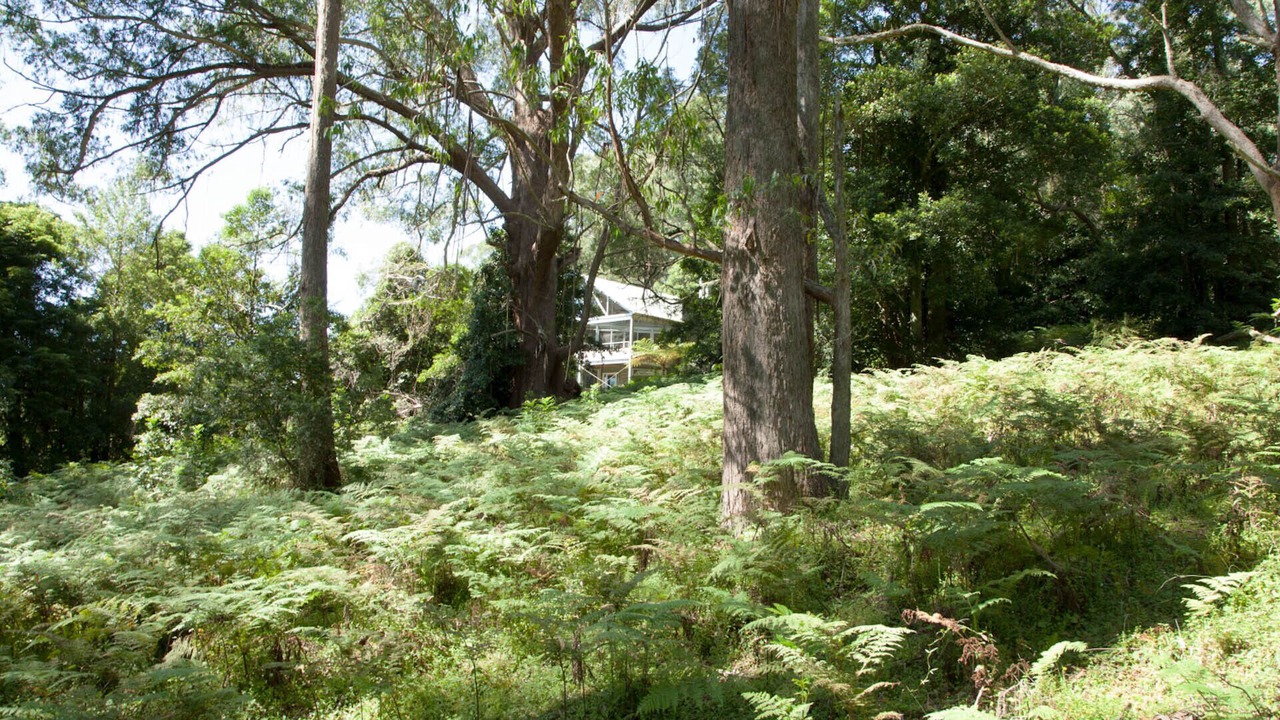 Photo of Others in Robertson