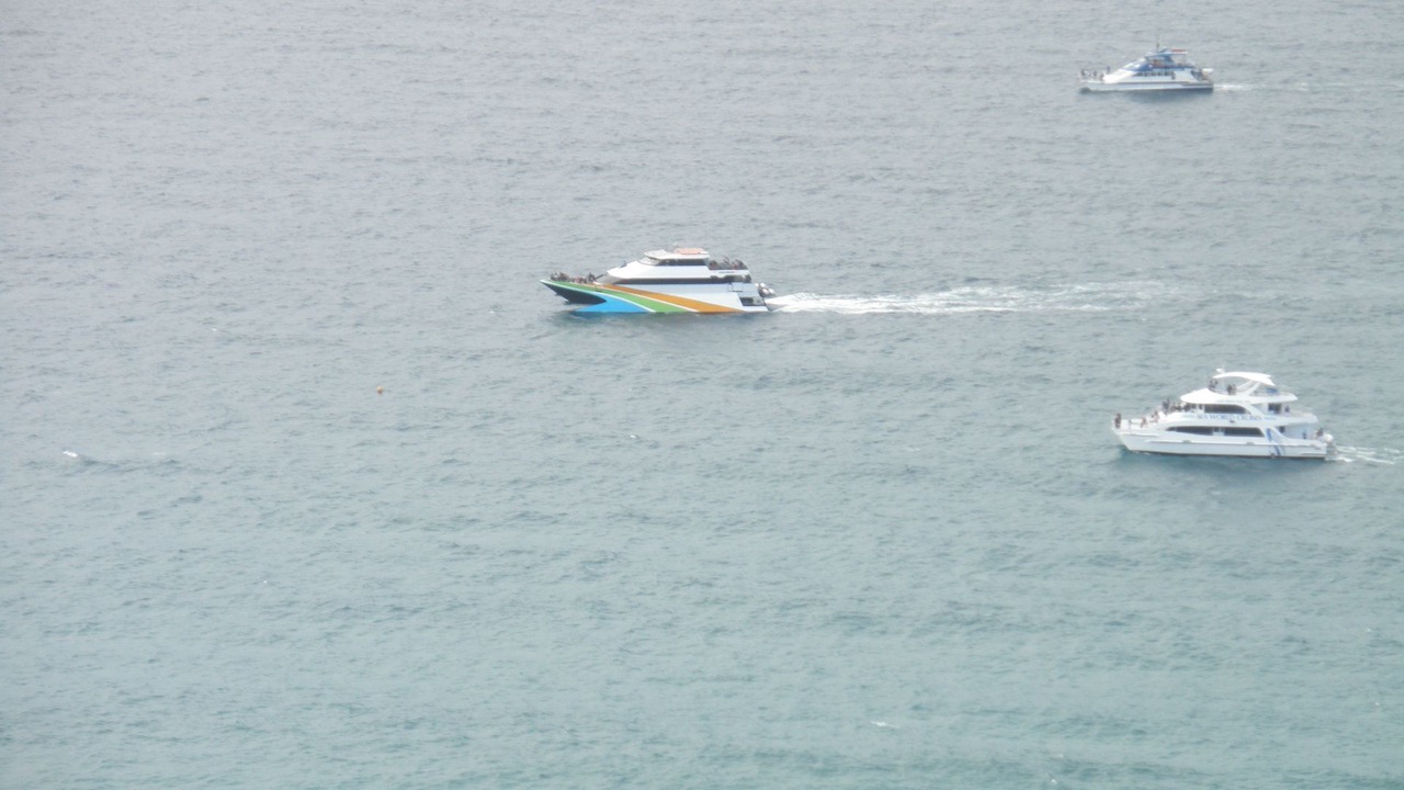 Photo of Others in Surfers Paradise