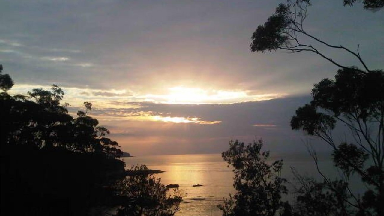 Photo of Others in Denhams Beach