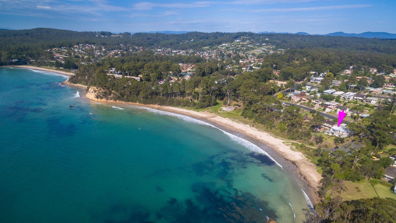 Photo of Others in Denhams Beach