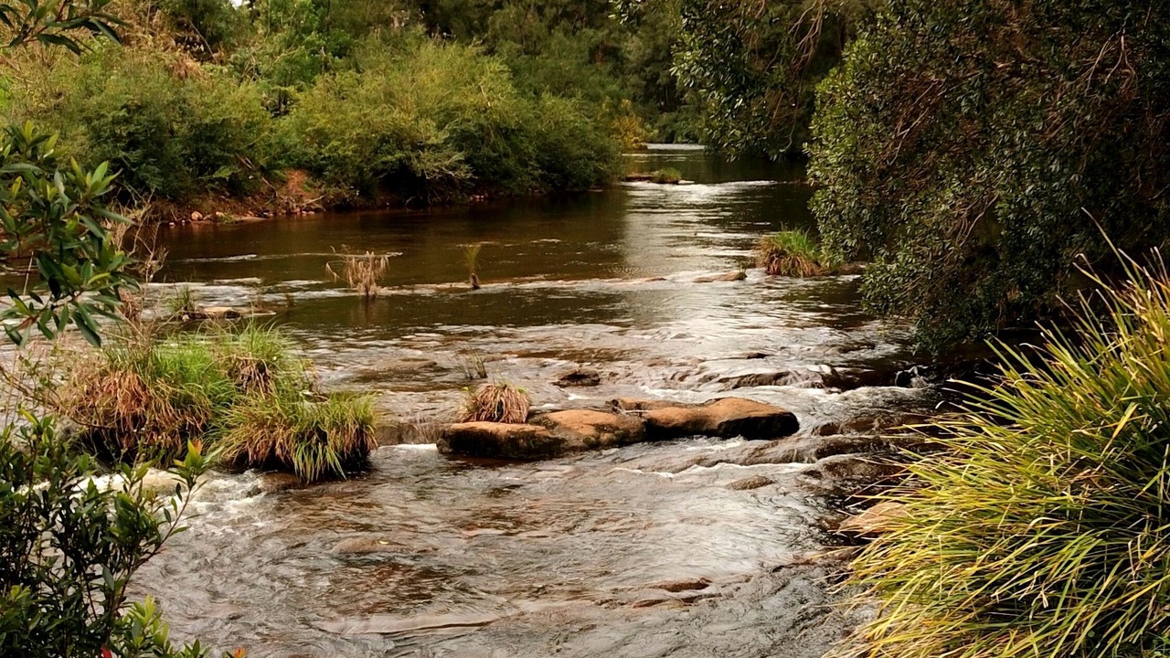 Photo of Others in Kangaroo Valley
