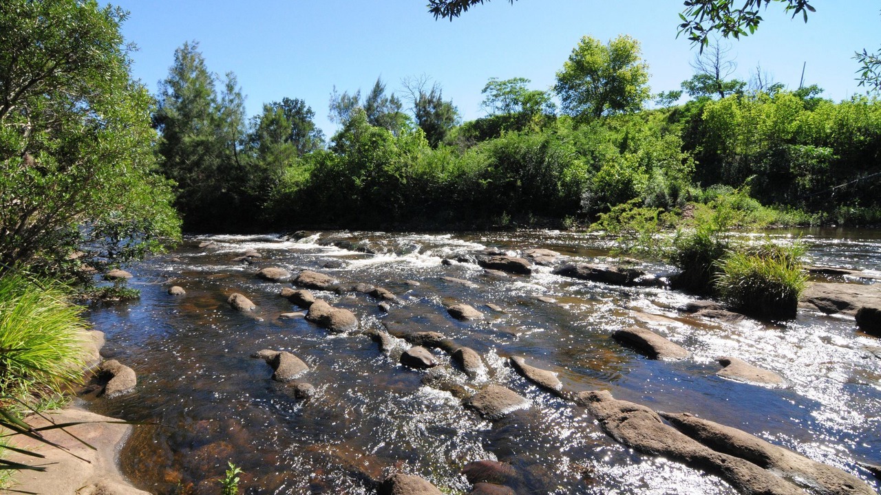Photo of Others in Kangaroo Valley