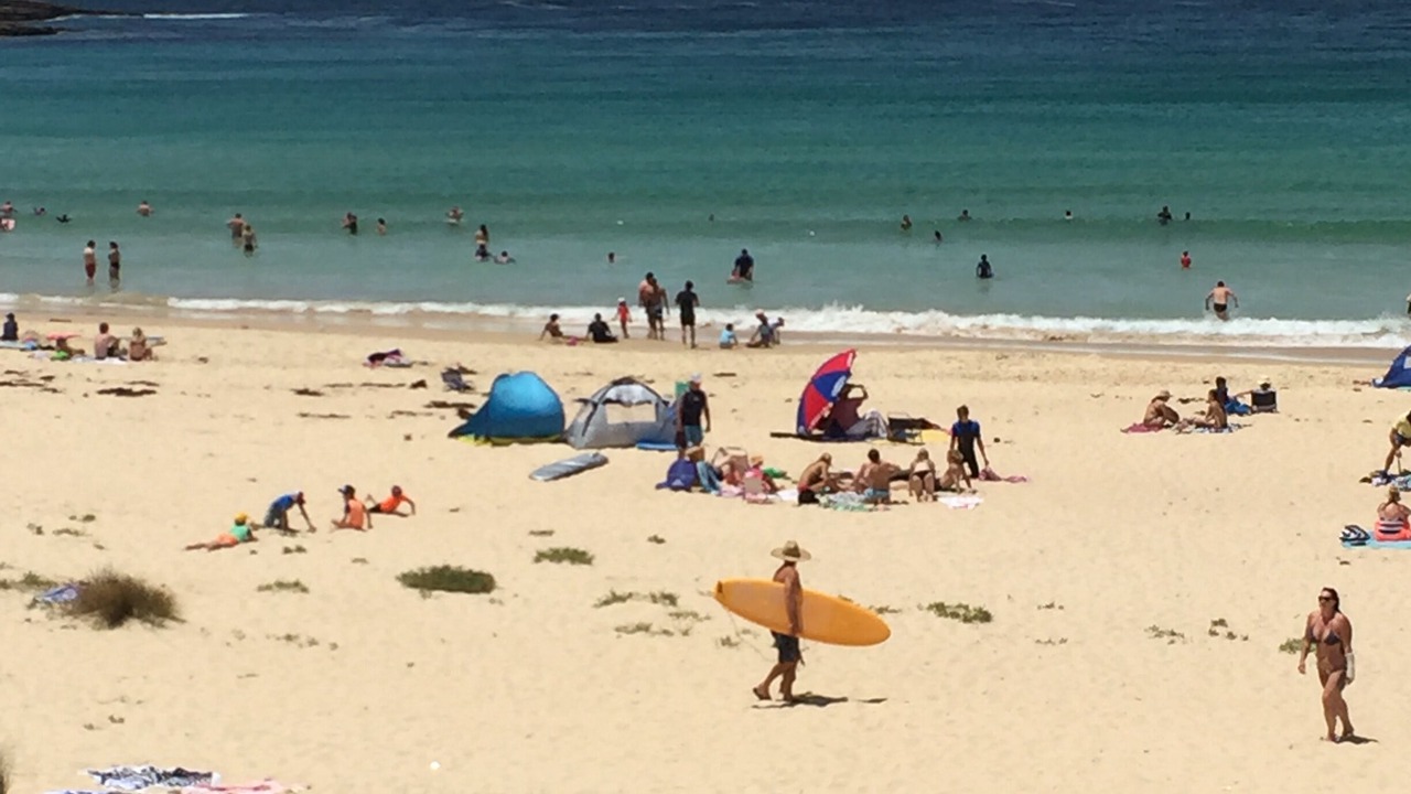 Photo of Others in Mollymook Beach