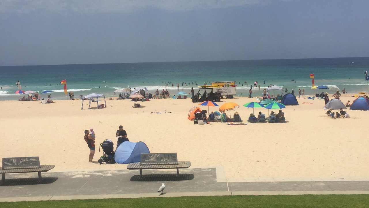 Photo of Others in Mollymook Beach