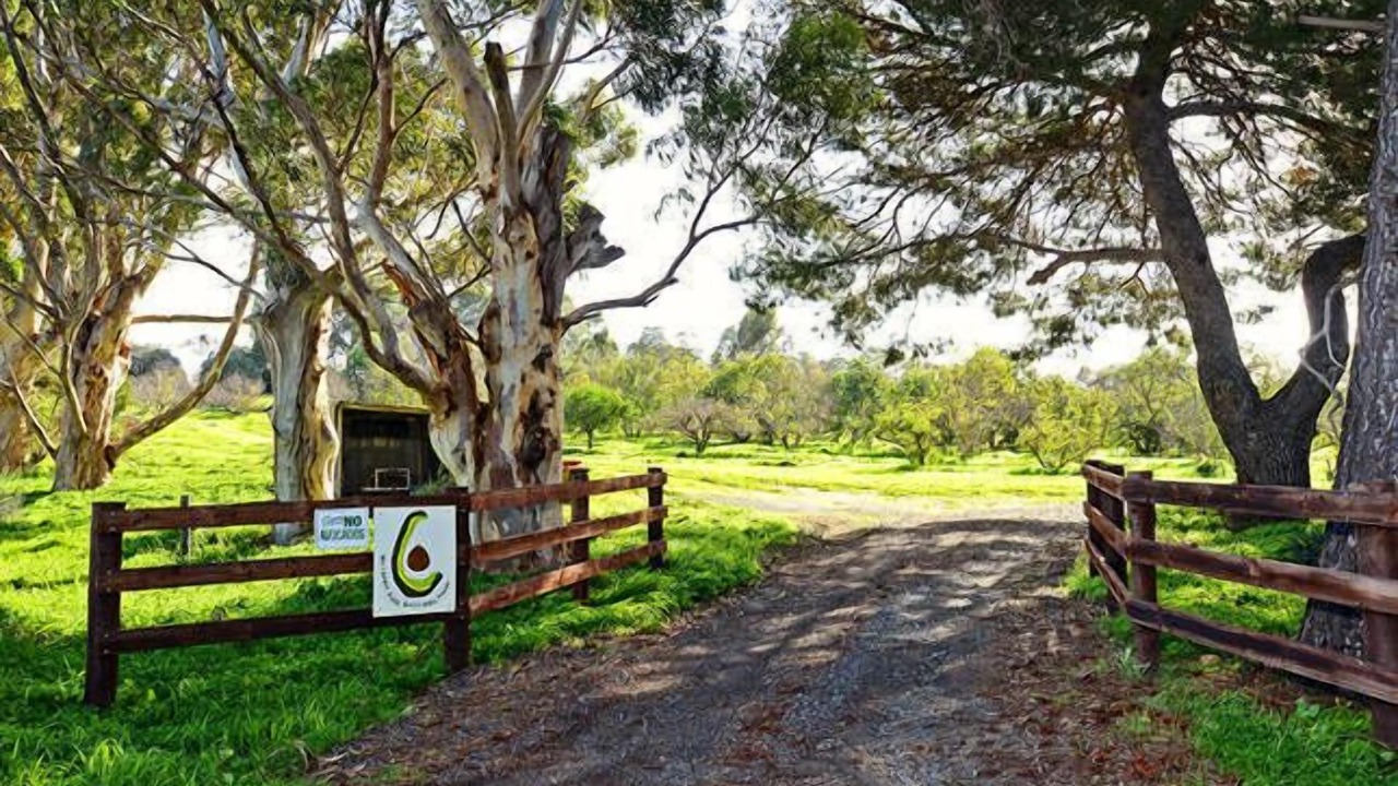 Photo of Outdoor in McLaren Vale