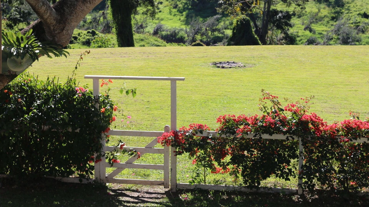 Photo of Outdoor in Kenilworth