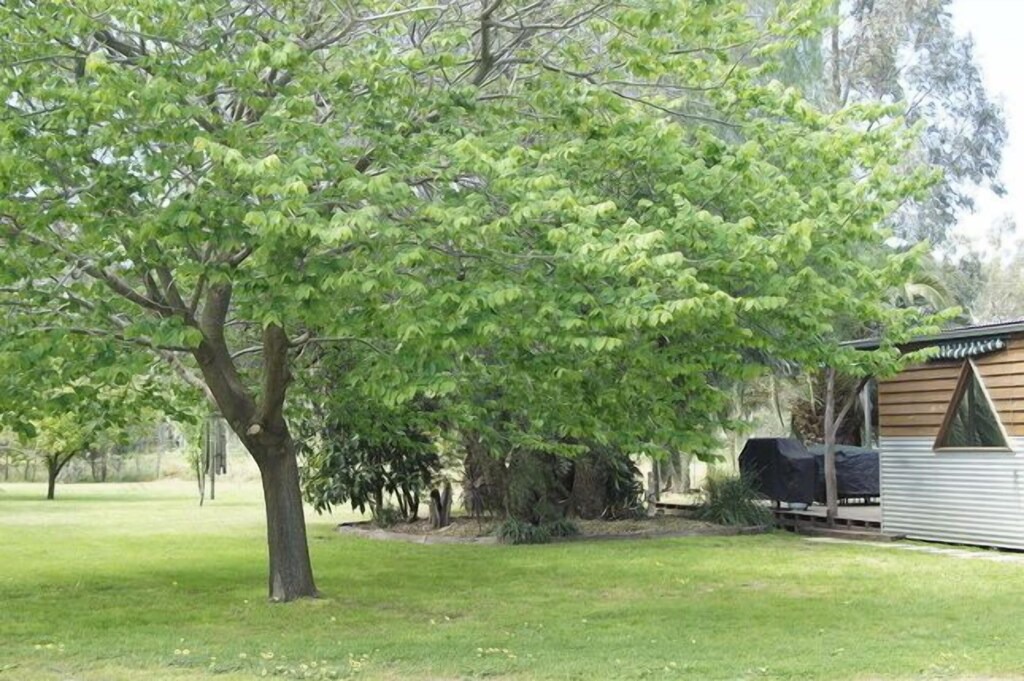 Photo of Others in Torrumbarry