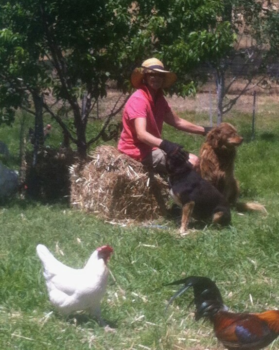 Photo of Others in Torrumbarry