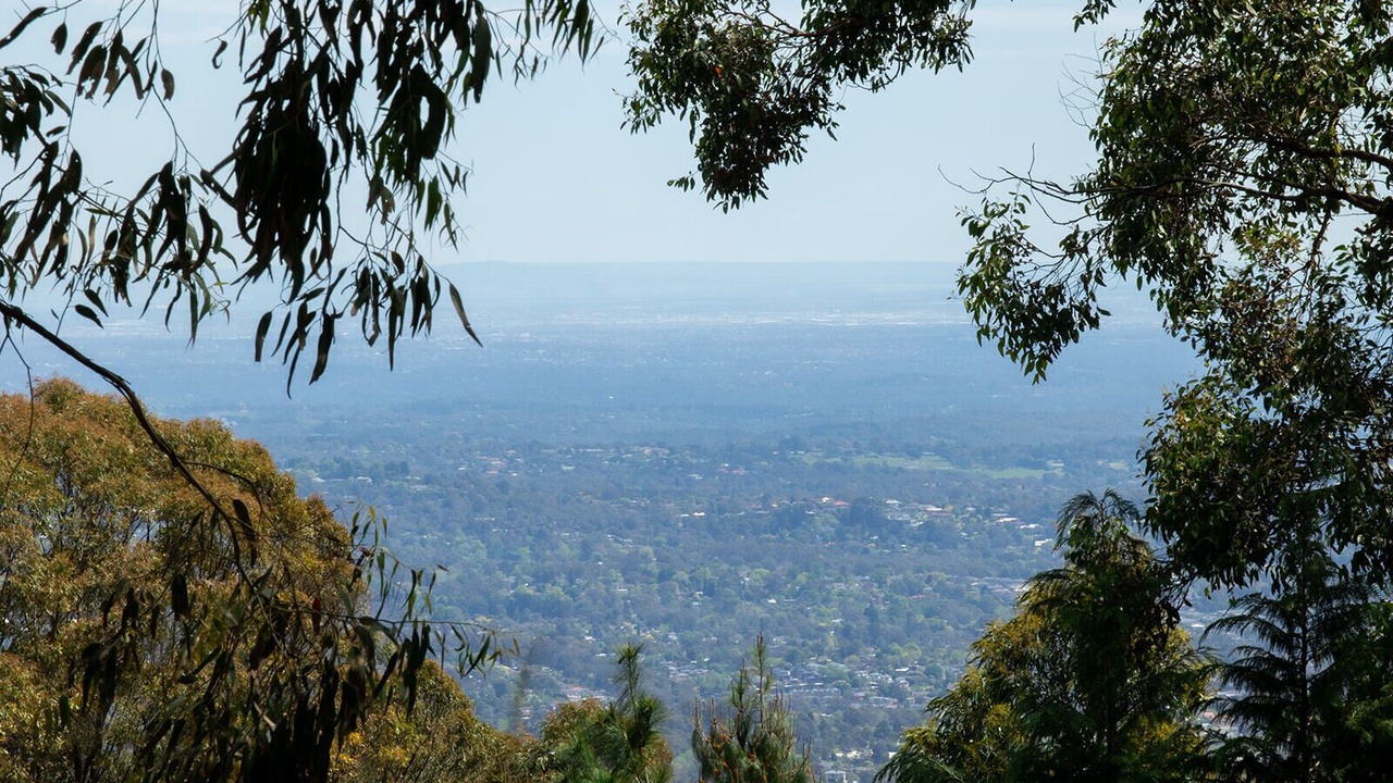 Photo of Others in Kalorama