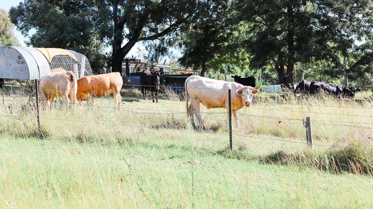 Photo of Outdoor in Coonabarabran