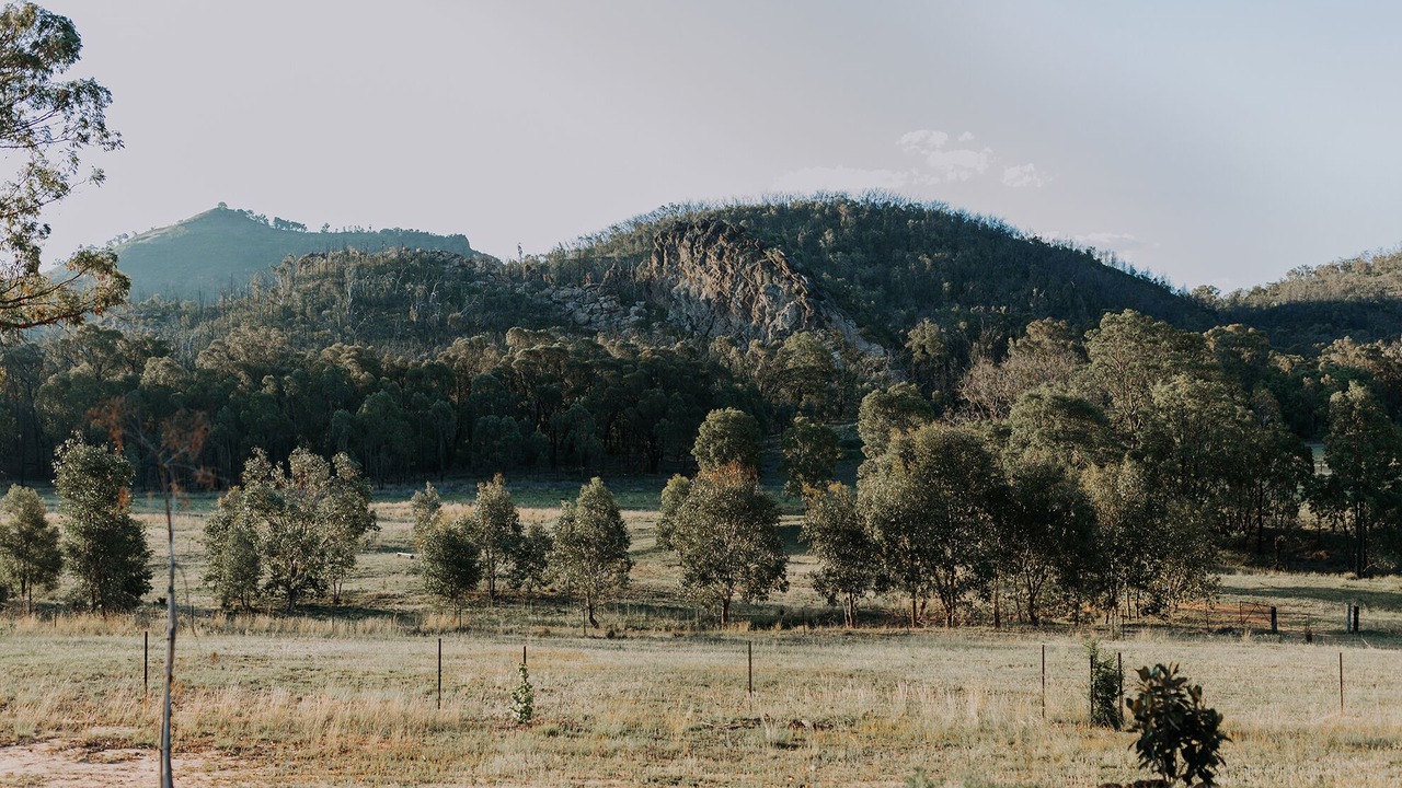 Photo of Others in Coonabarabran