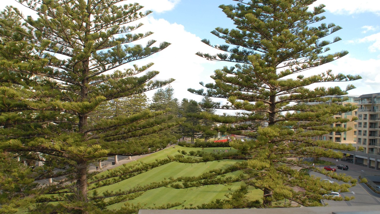 Photo of Outdoor in Glenelg
