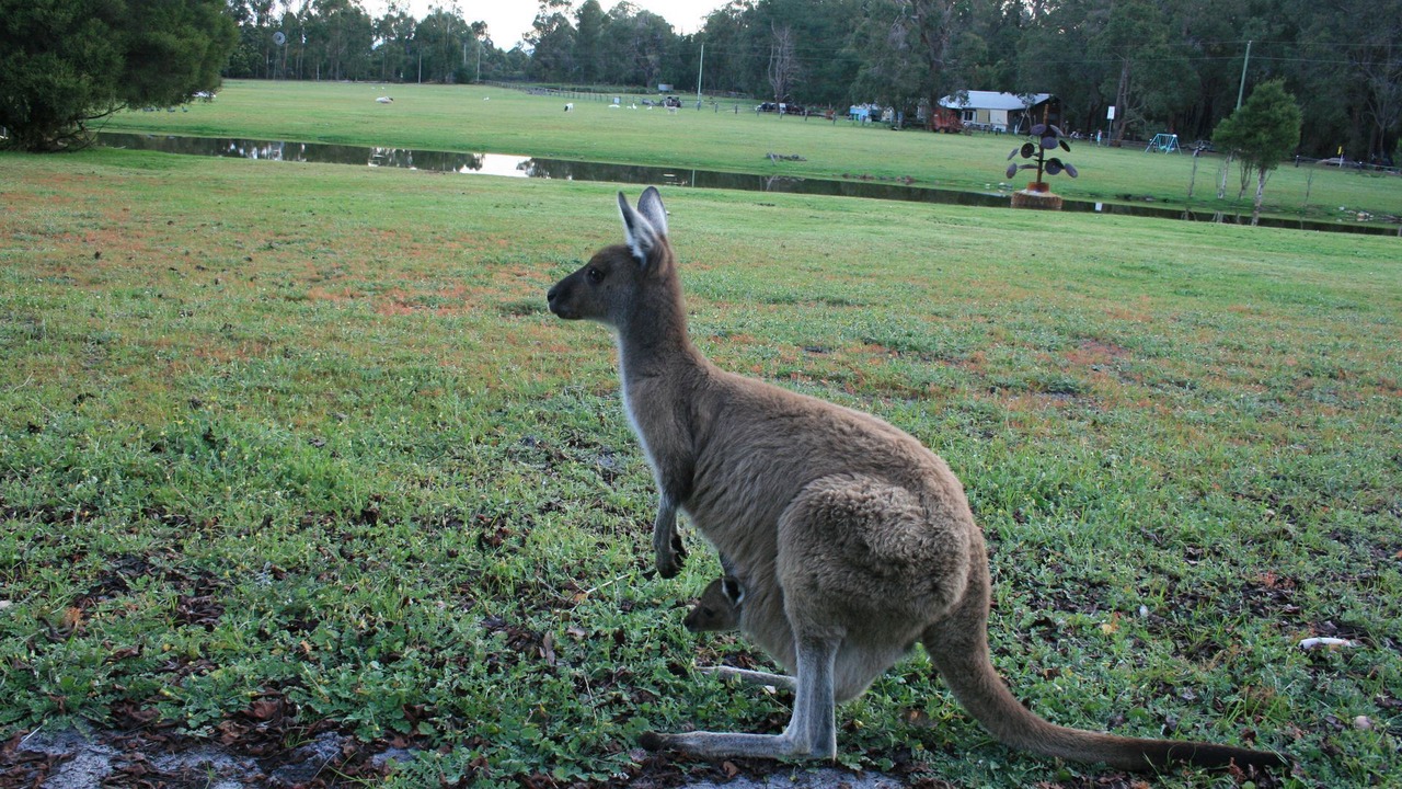 Photo of Others in Nannup