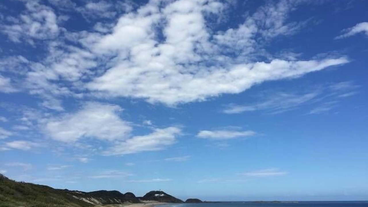 Photo of Others in Seal Rocks