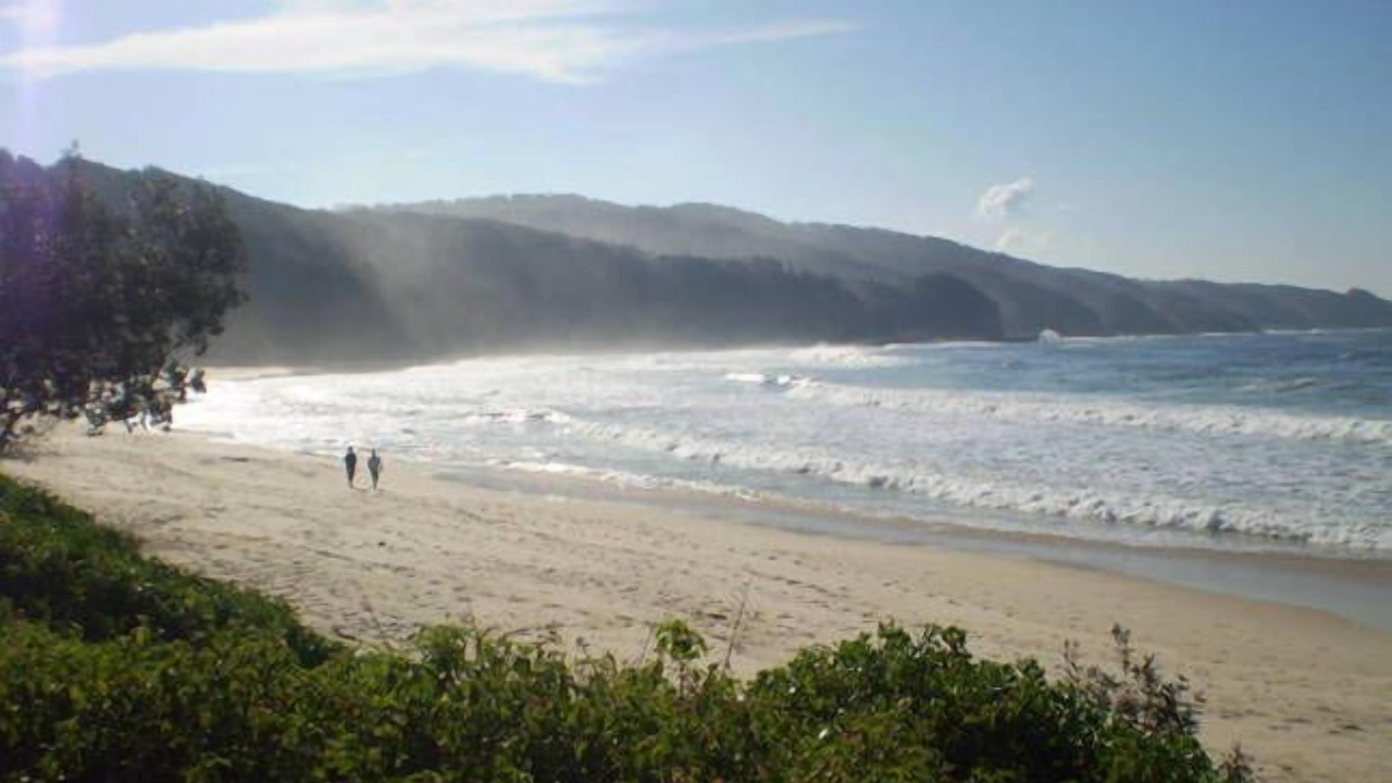 Photo of Others in Seal Rocks
