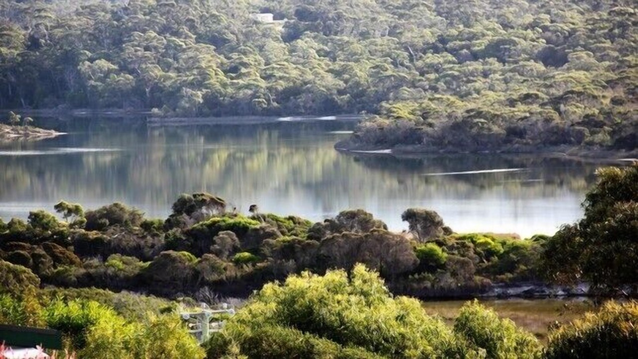 Photo of Others in Binalong Bay