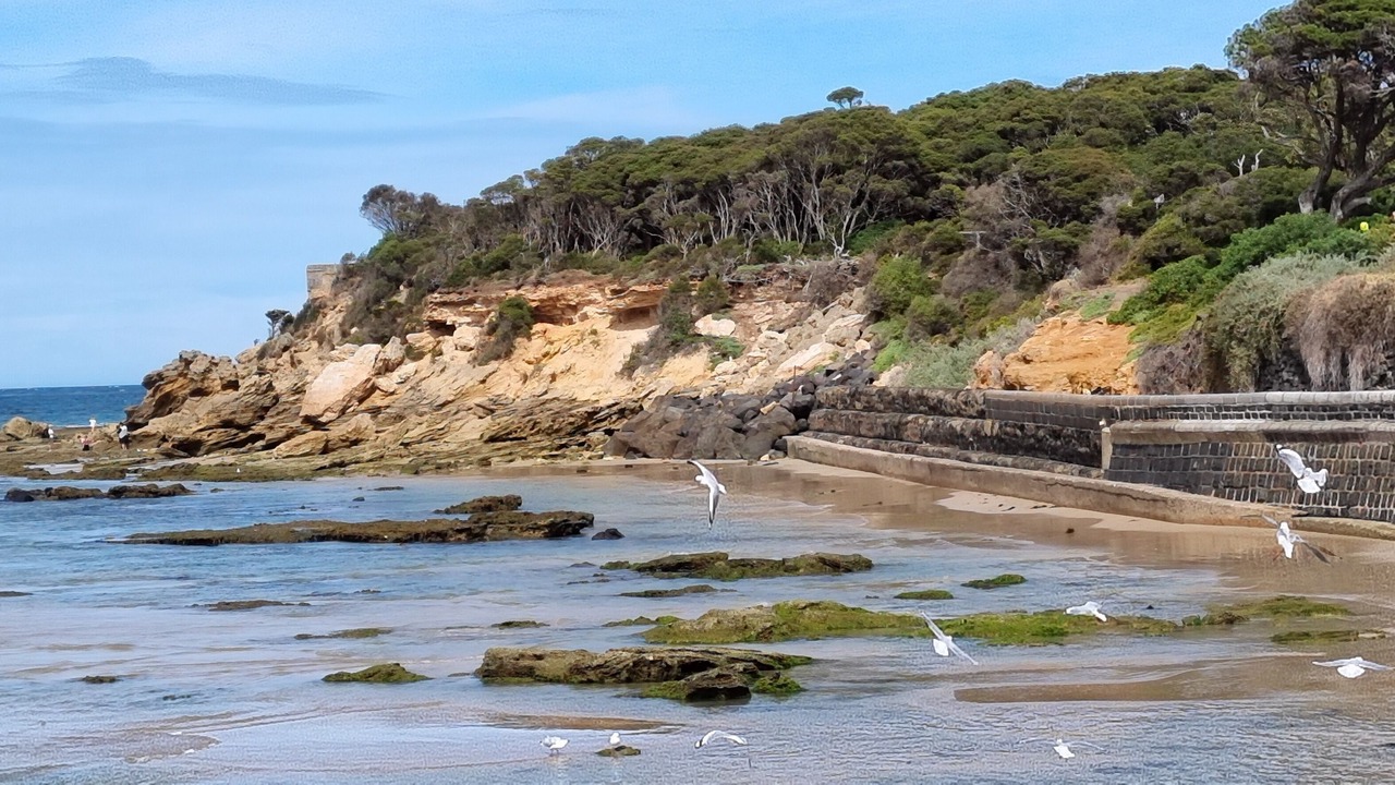 Photo of Others in Point Lonsdale