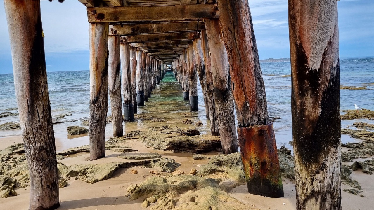 Photo of Others in Point Lonsdale