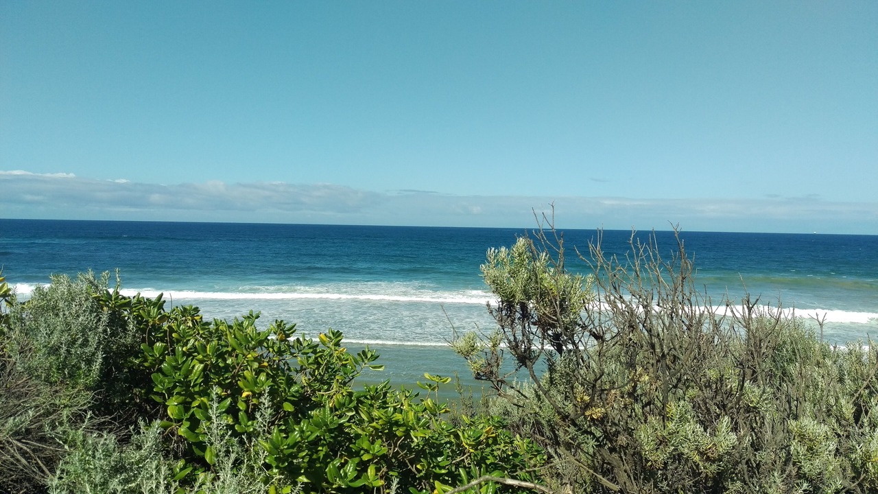 Photo of Others in Point Lonsdale