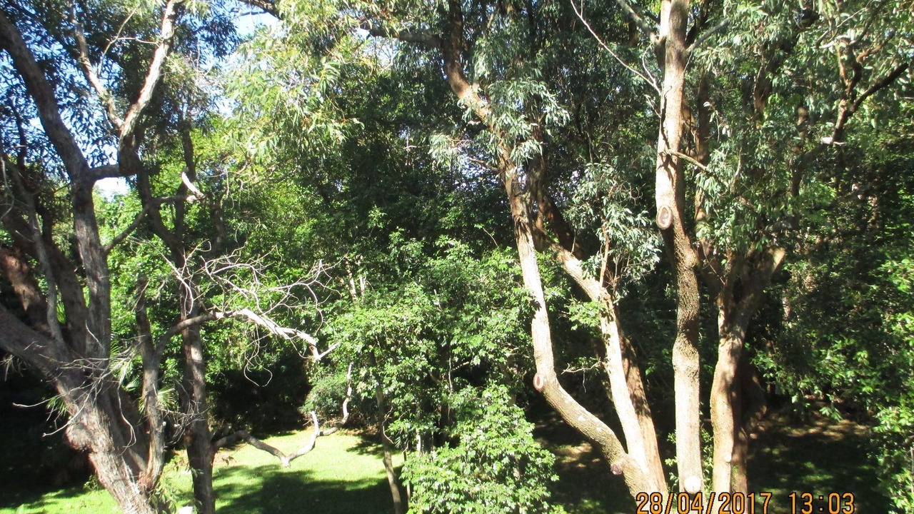 Photo of Outdoor in Killcare