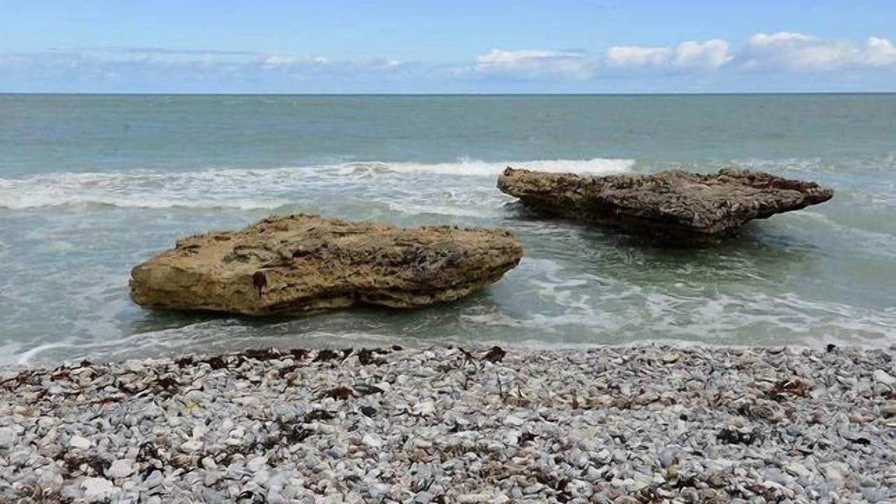Photo of Others in Port Macdonnell