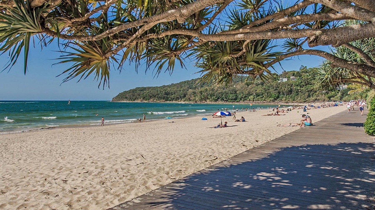 Photo of Others in Noosa Heads