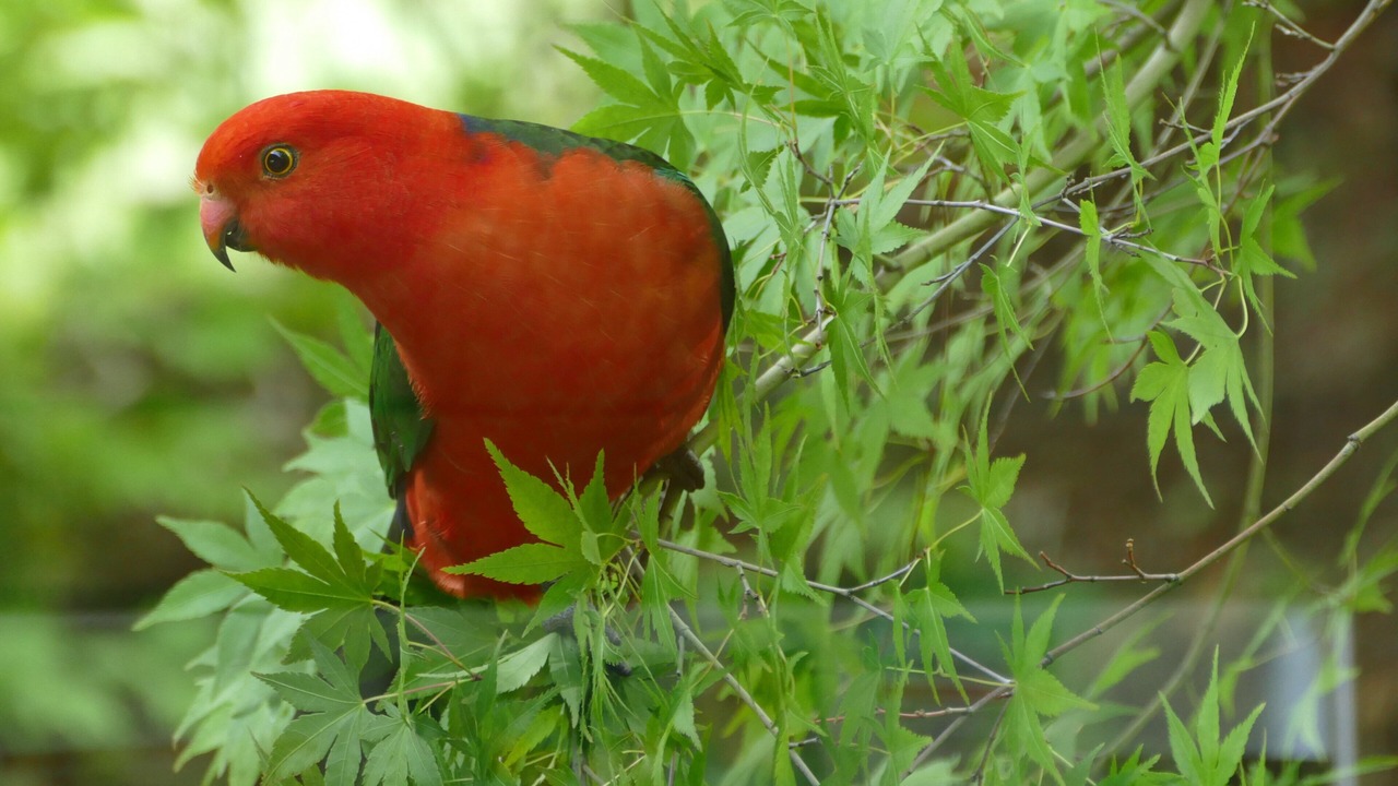 Photo of Others in Mount Toolebewong