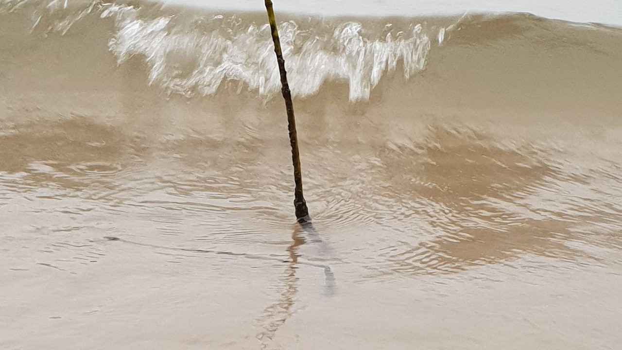 Photo of Others in Kingfisher Bay