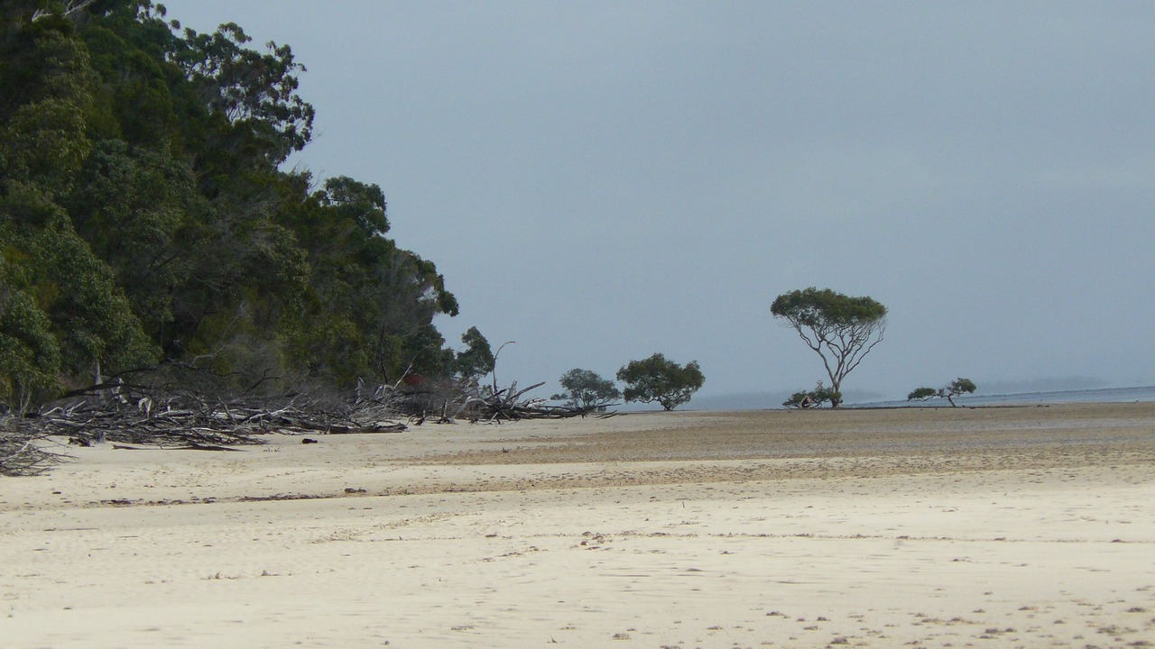 Photo of Others in Kingfisher Bay