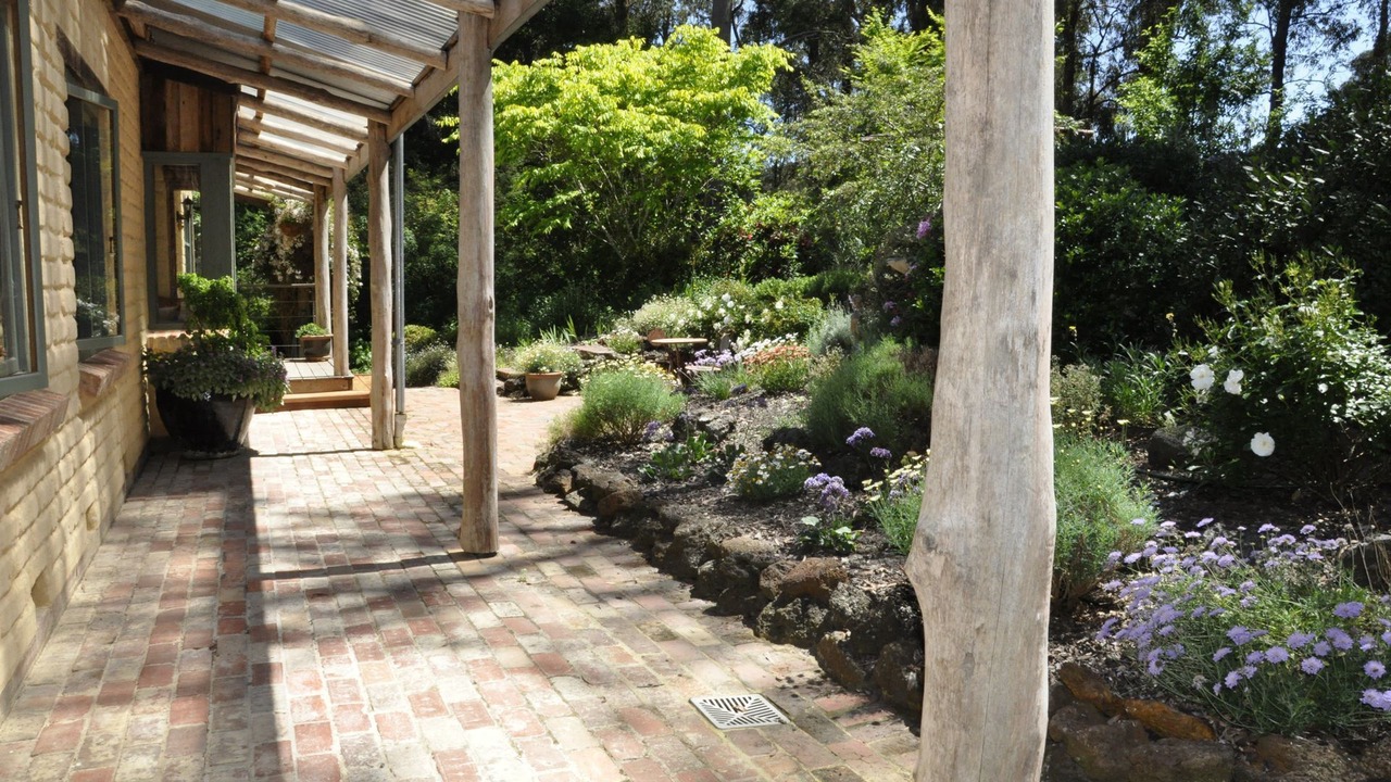 Photo of Outdoor in Forrest