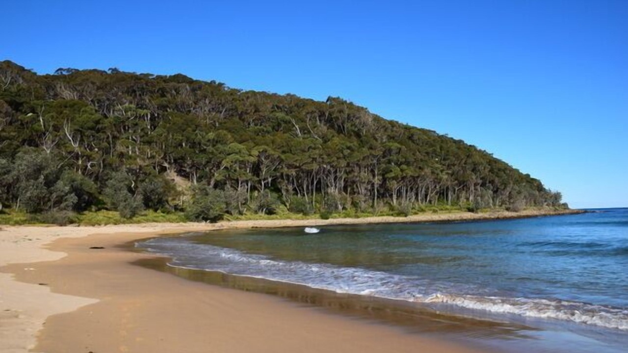 Photo of Others in Depot Beach