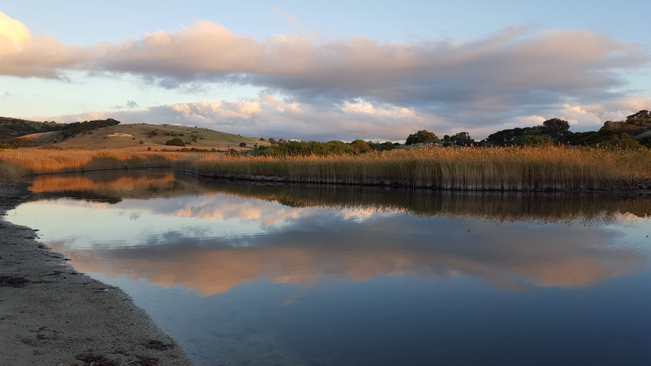 Photo of Others in Normanville