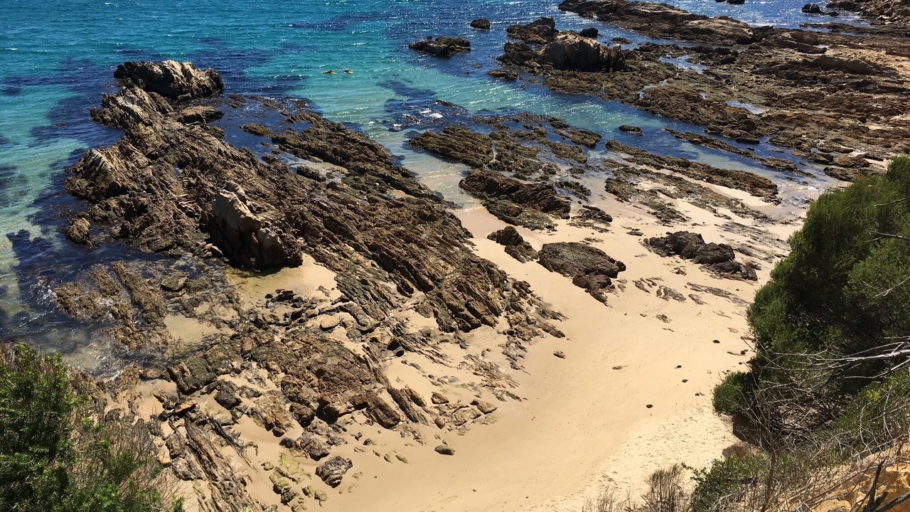 Photo of Others in Tathra
