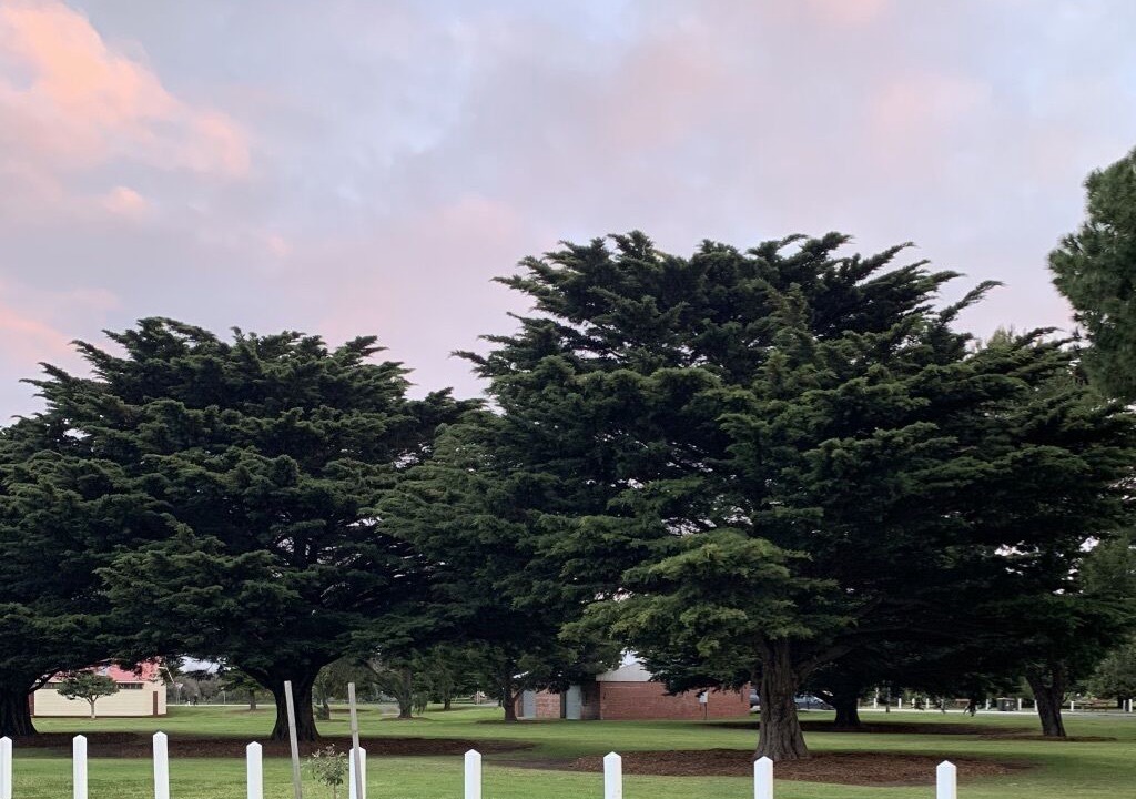 Photo of Others in Queenscliff