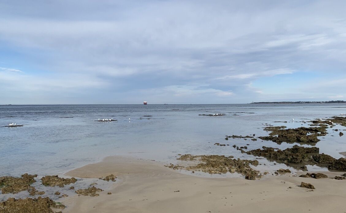 Photo of Others in Queenscliff