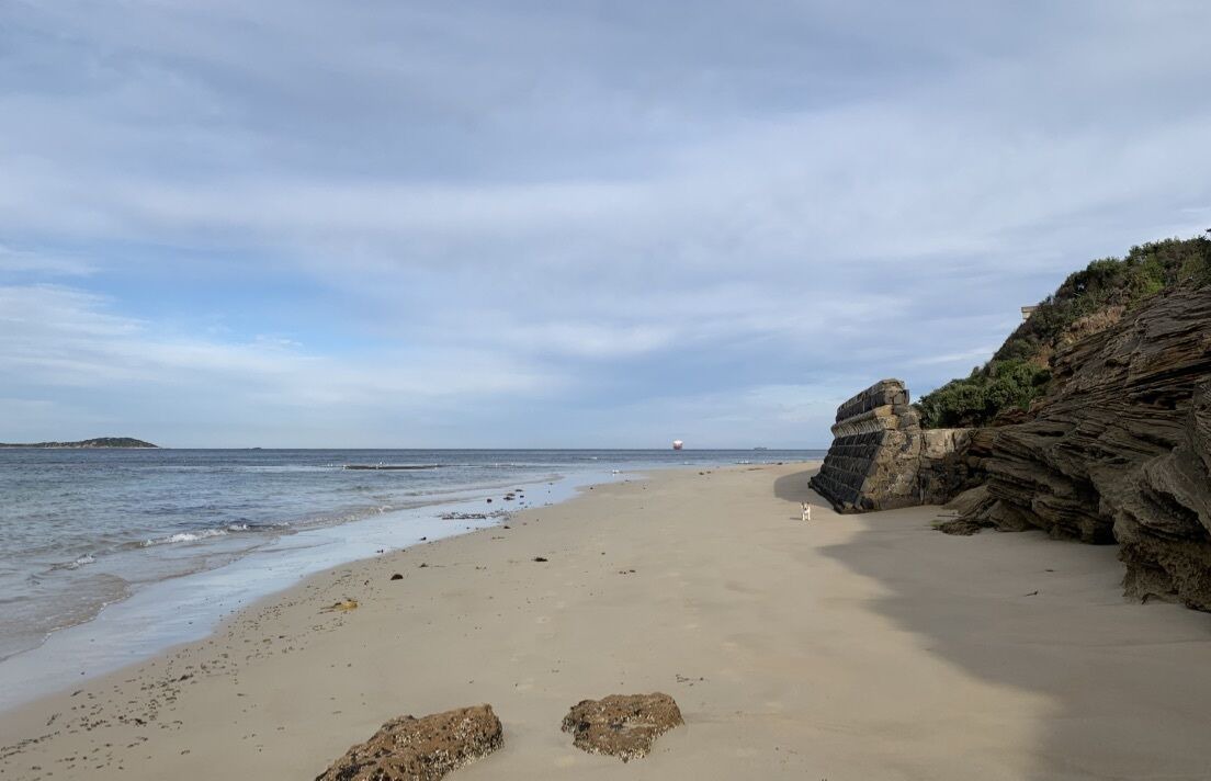 Photo of Others in Queenscliff